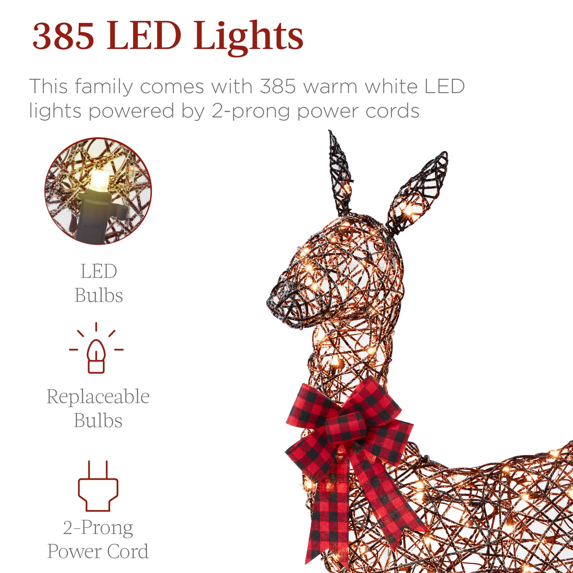 385 LED Lights

This family comes with 385 warm white LED lights powered by 2-prong power cords

LED Bulbs

Replaceable Bulbs

2-Prong Power Cord