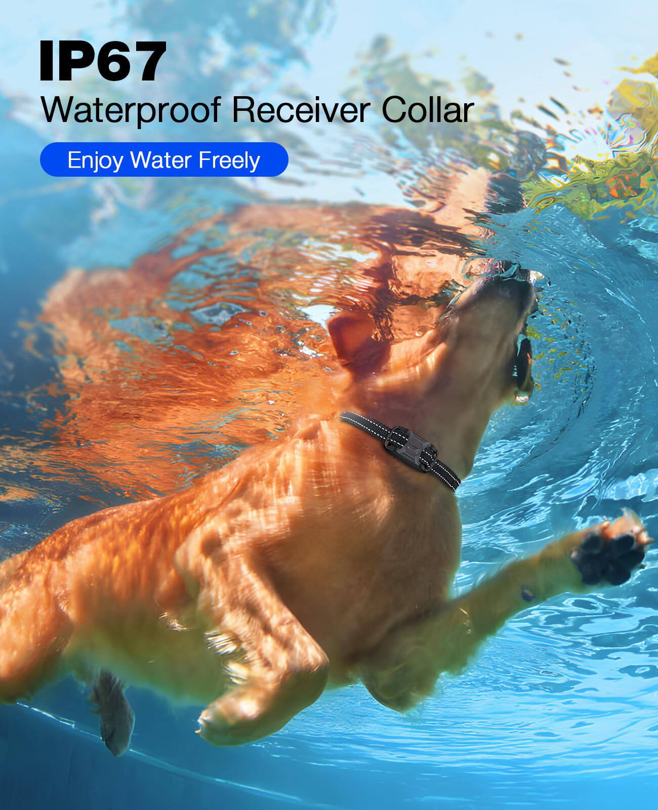 IP67 Waterproof Receiver Collar  
Enjoy Water Freely