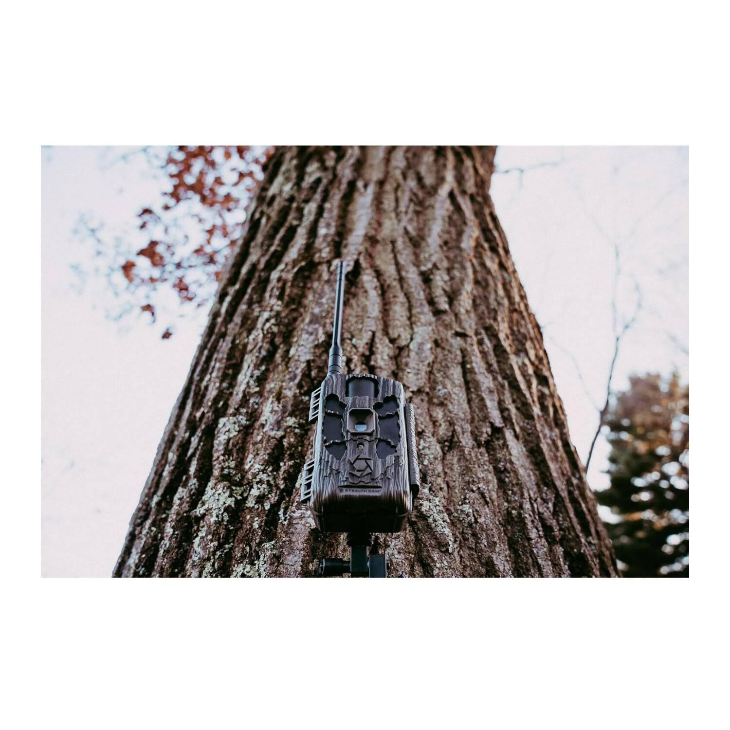 Angle. Stealth Cam - Stealth Cam Deceptor Max 2.0 Dual Core Brown Cellular Camera 2 Pack.