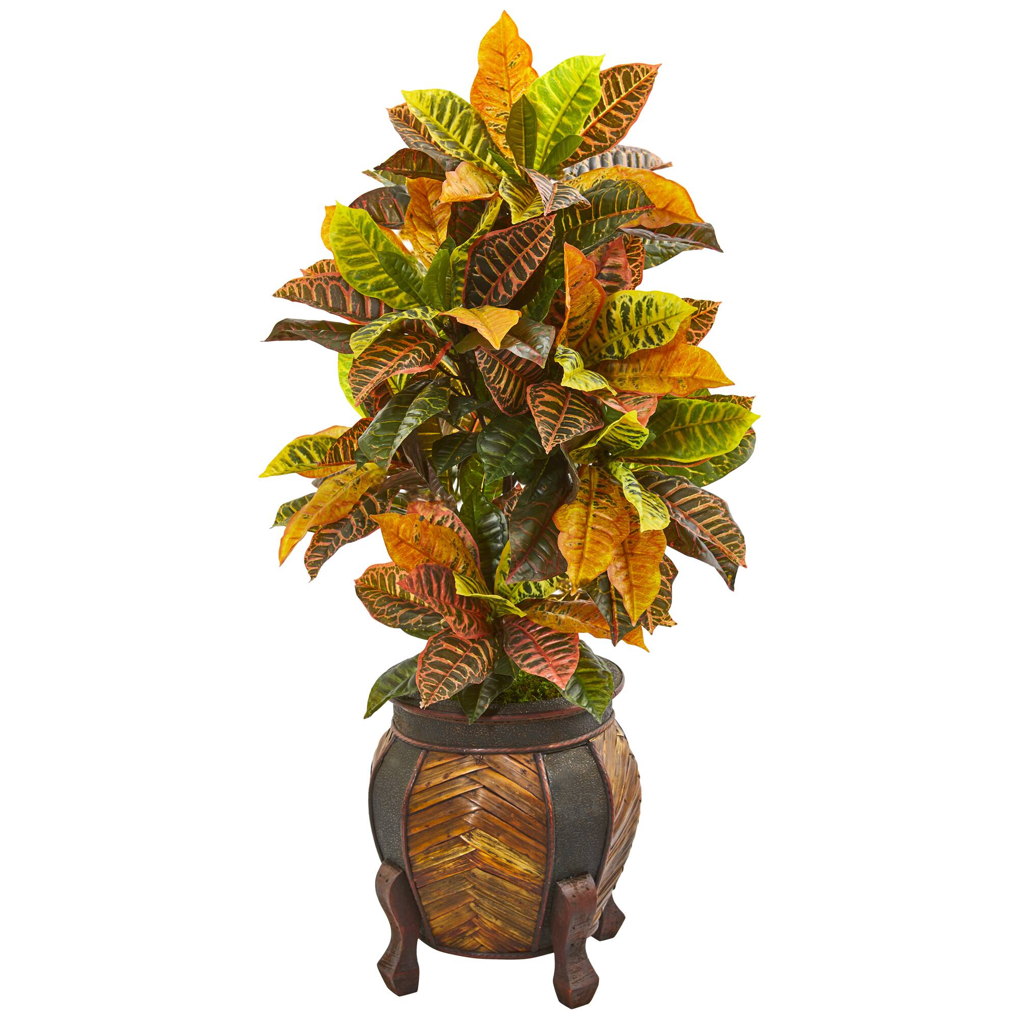 Front. BreeBe - 44" Croton Plant in Decorative Planter (Real Touch) - Green.