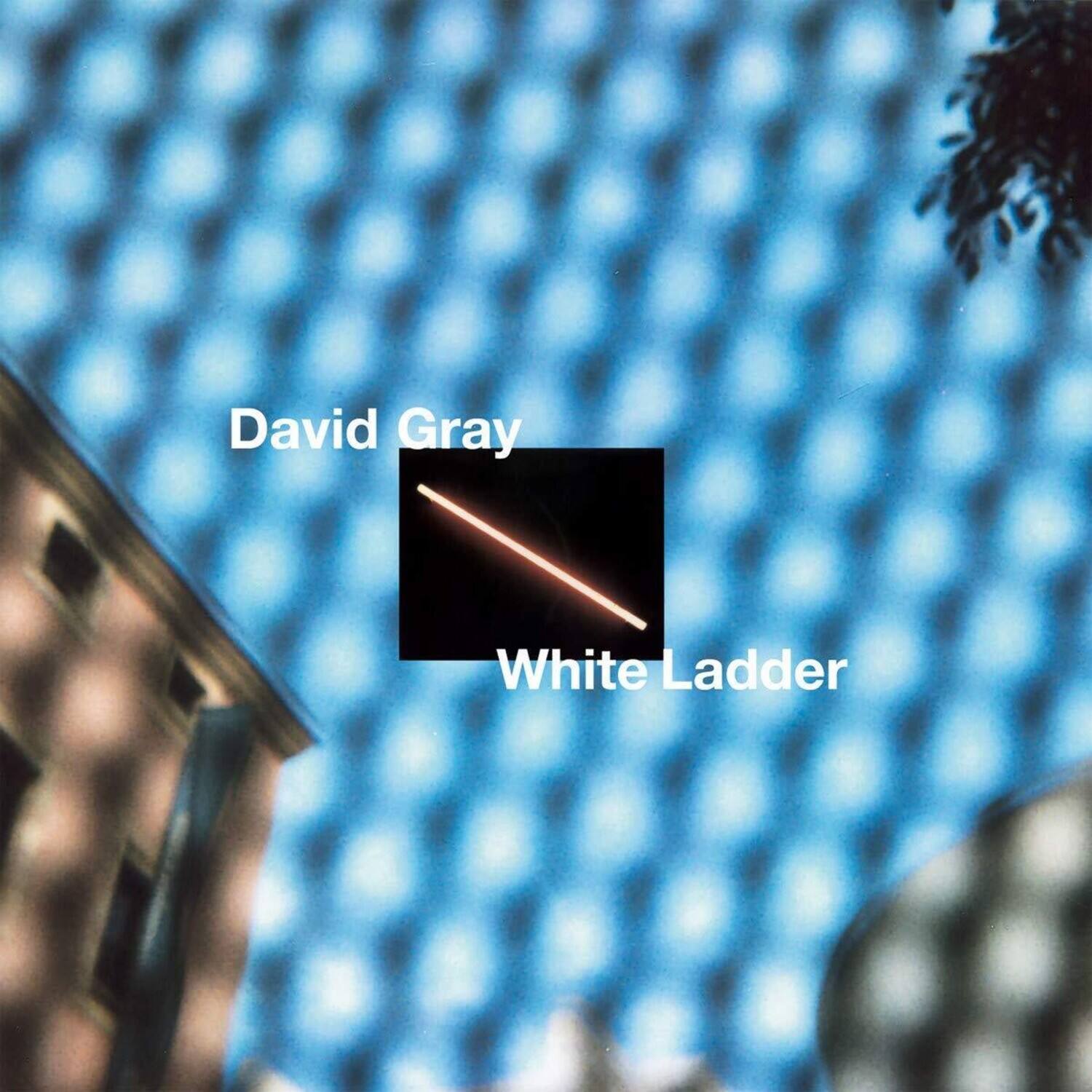 David Gray  
White Ladder
