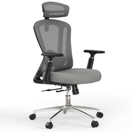 Forest'nSky - High Back Ergonomic Office Chair with 3D Adjustable Armrests & Headrest in Grey - Gray