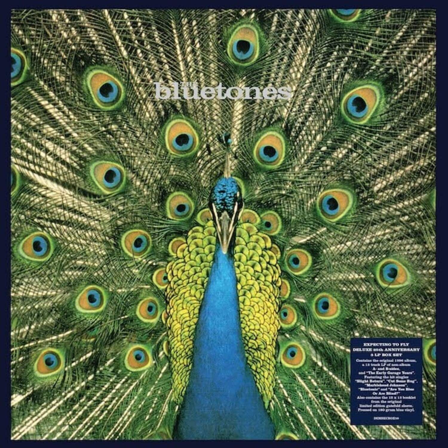 The Bluetones - Expecting To Fly: 25th Anniversary  - VINYL LP price history on PriceWatchPro