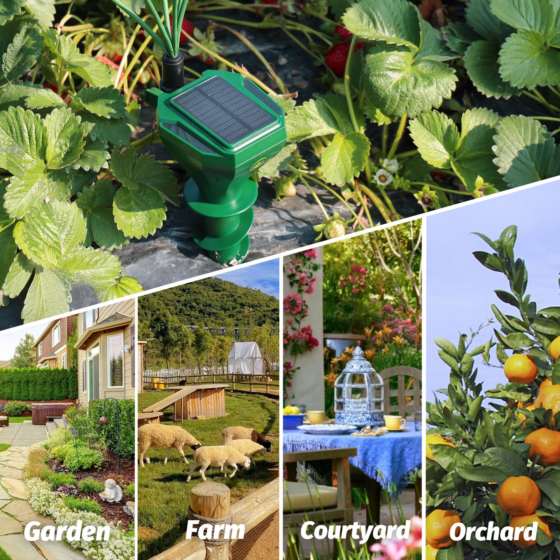 Garden Farm Courtyard Orchard