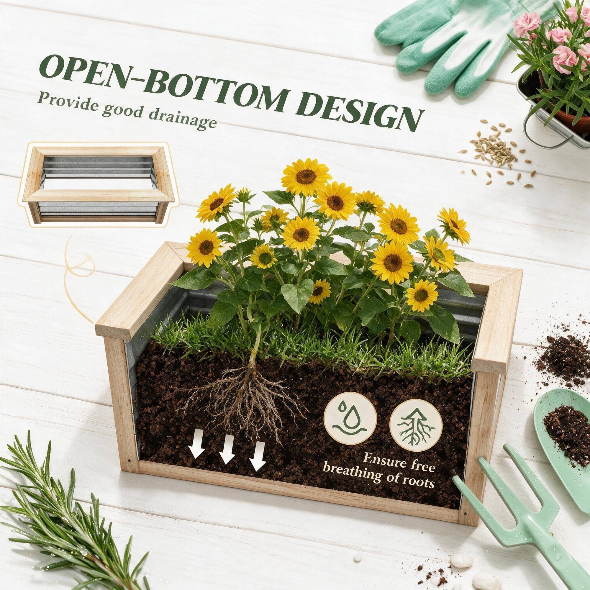 OPEN-BOTTOM DESIGN  
Provide good drainage  
Ensure free breathing of roots