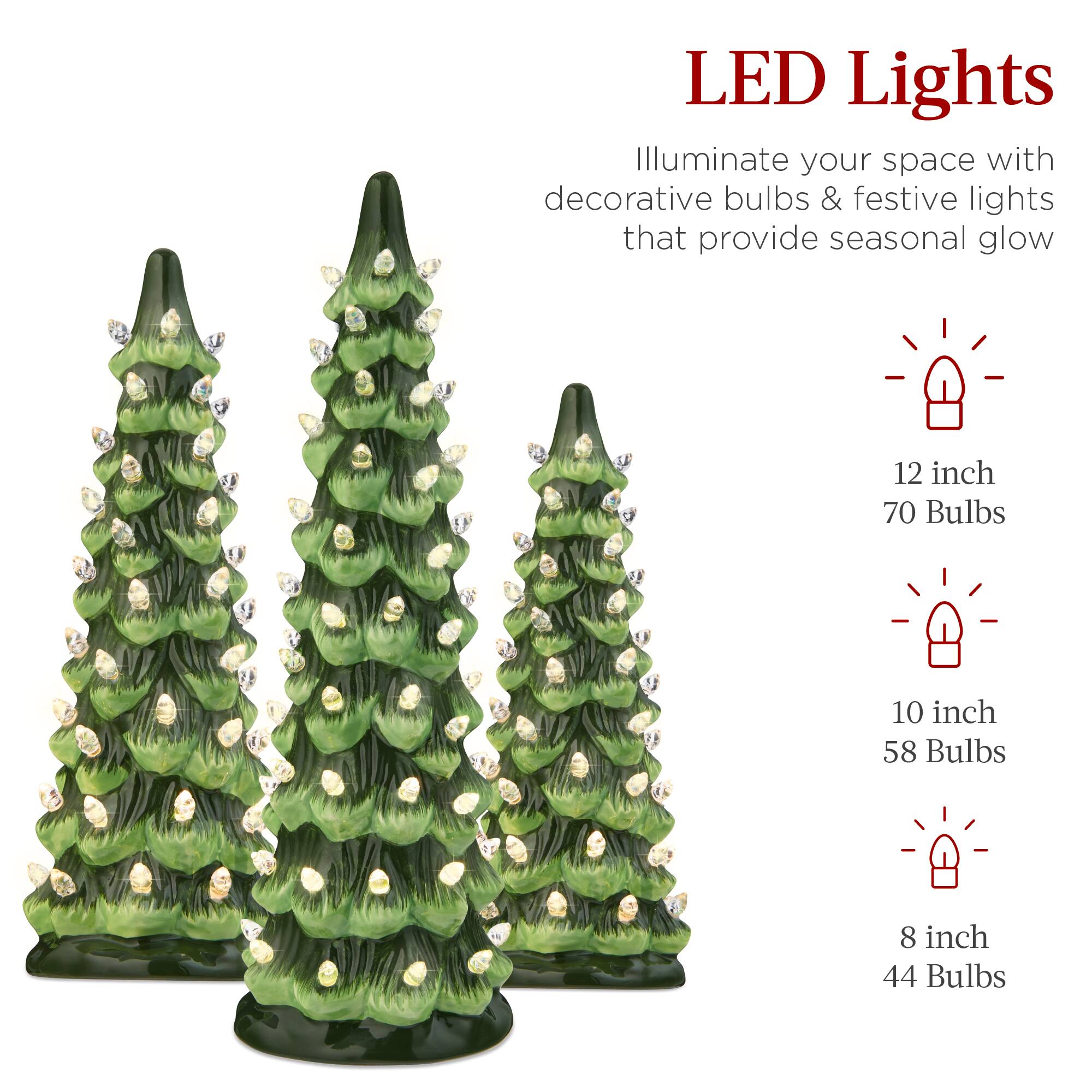 LED Lights

Illuminate your space with decorative bulbs & festive lights that provide seasonal glow

12 inch  
70 Bulbs

10 inch  
58 Bulbs

8 inch  
44 Bulbs