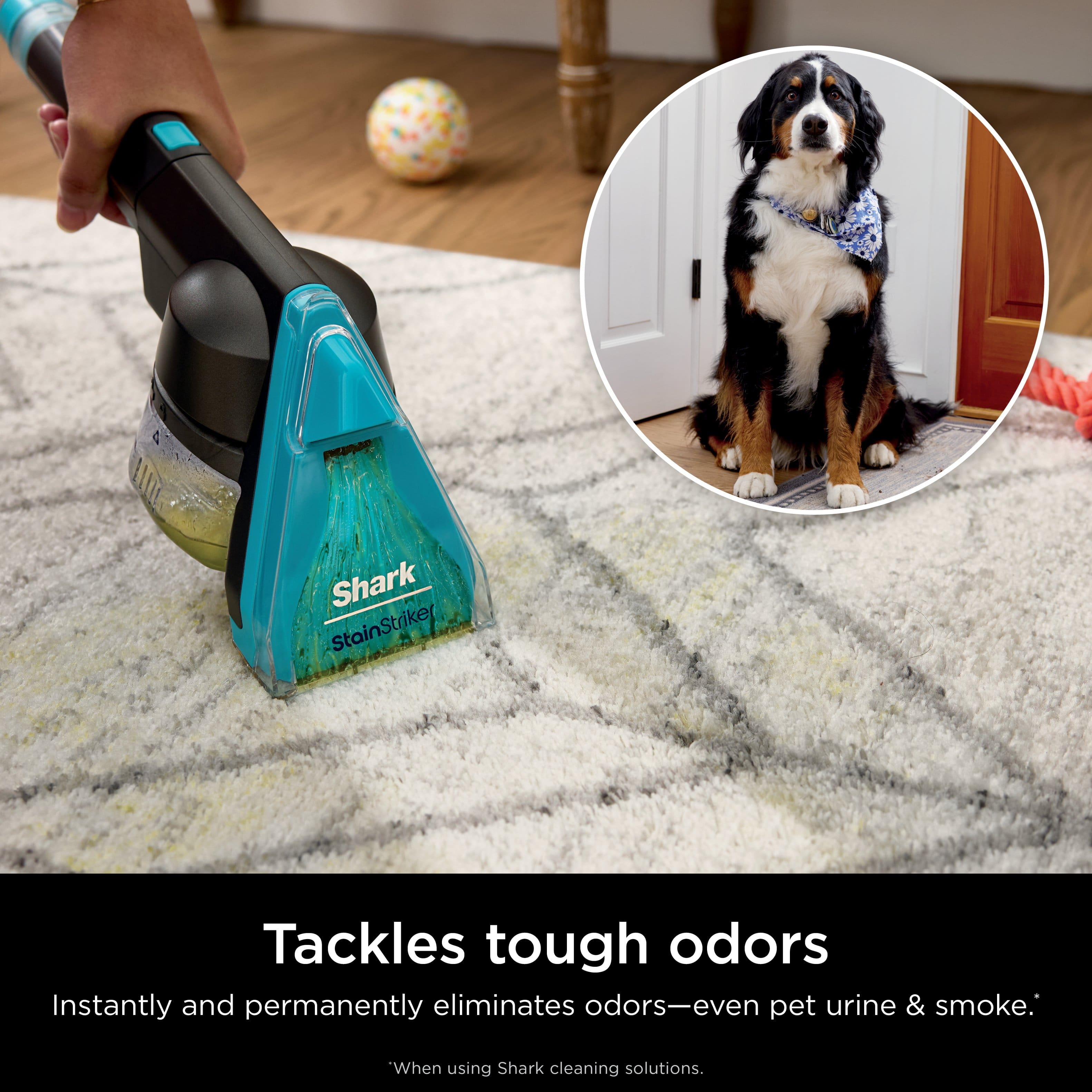 Shark StainStriker Tackles tough odors Instantly and permanently eliminates odors-even pet urine & smoke. When using Shark cleaning solutions.