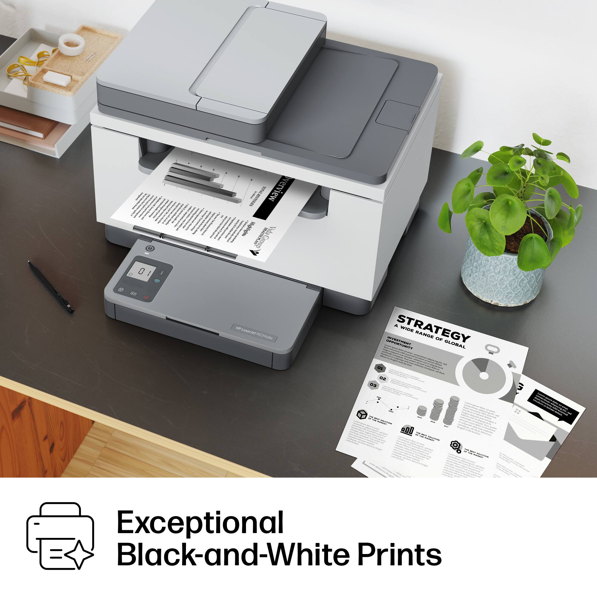 Exceptional Black-and-White Prints

STRATEGY
A Wide Range of Global Opportunities

- Exceptional Black-and-White Prints