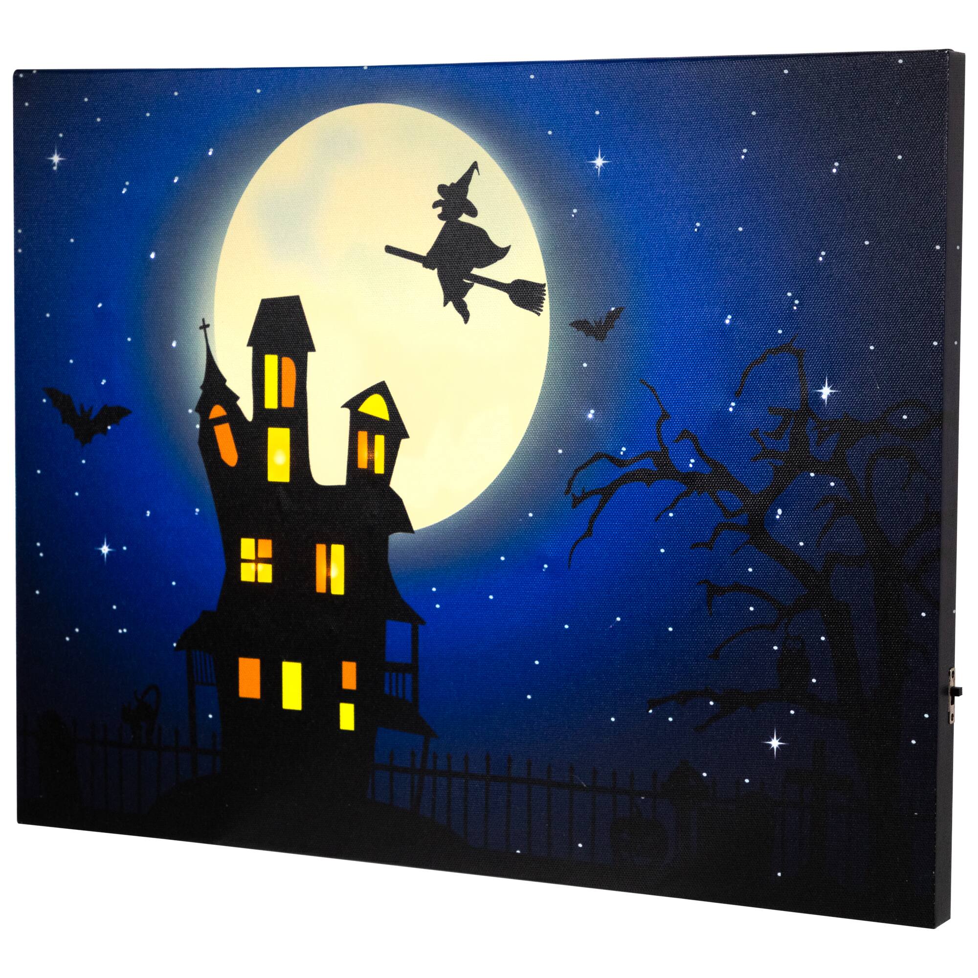 Northlight LED Lighted Fiber Optic Witch Flying Over Haunted House ...