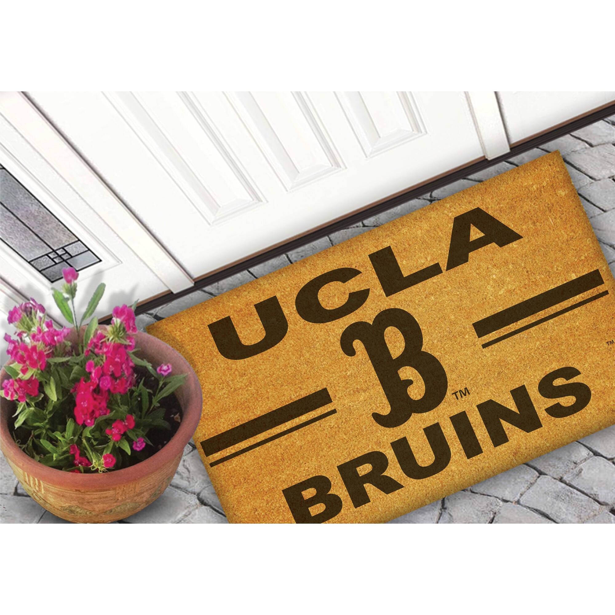 UCLA  
BRUINS