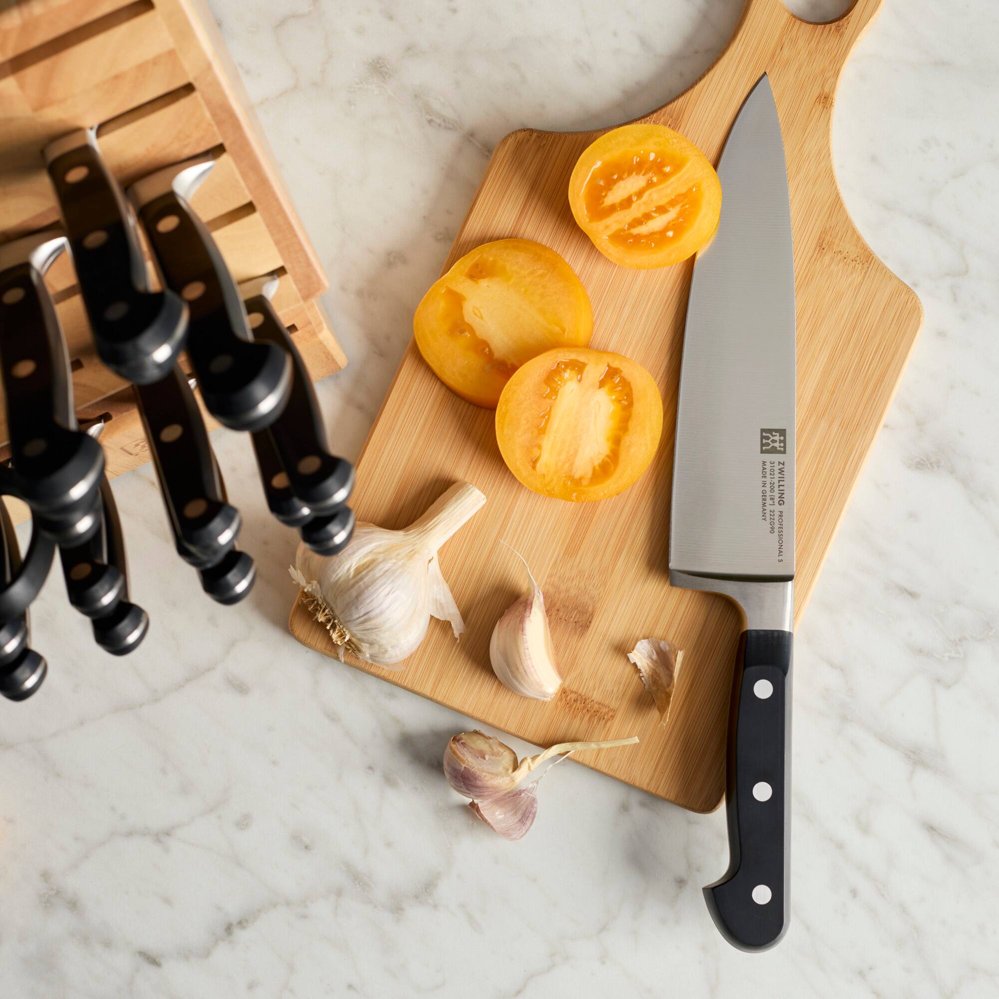 I 1 FW 1 GTSRLLA La0d-100 B ZWILLING TERRA PROFESSIONAL