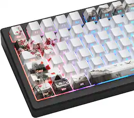 Womier - Shine Through Keycaps, PBT Keycap Cherry Profile Custom Keys Set for Cherry Gateron MX Switches Mechanical Keyboard - White-130 Keys