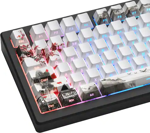 ESC F1 F2 F3 F4 F5 F6 F7
6A 5% 4$ 3# 2@ 2 T 1 R E W Q
Tab D S A C Caps X 7 Shift U I O P
Alt Win Ctrl