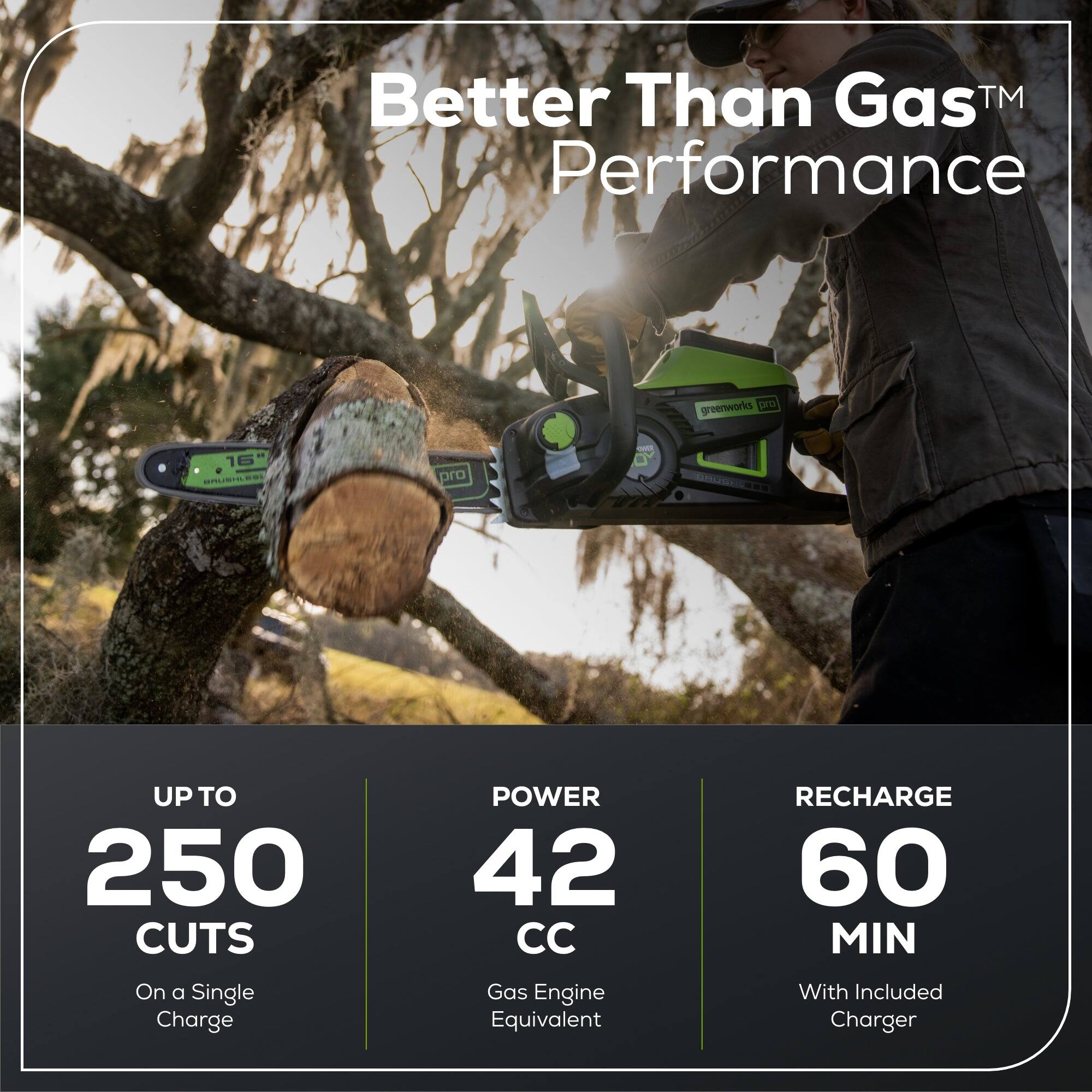 Better Than Gas TM Performance groenworks Det 16 HCC pro - ANL UP TO 250 CUTS ON A SINGLE CHARGE POWER 42 CC GAS ENGINE EQUIVALENT RECHARGE 60 MIN WITH INCLUDED CHARGER