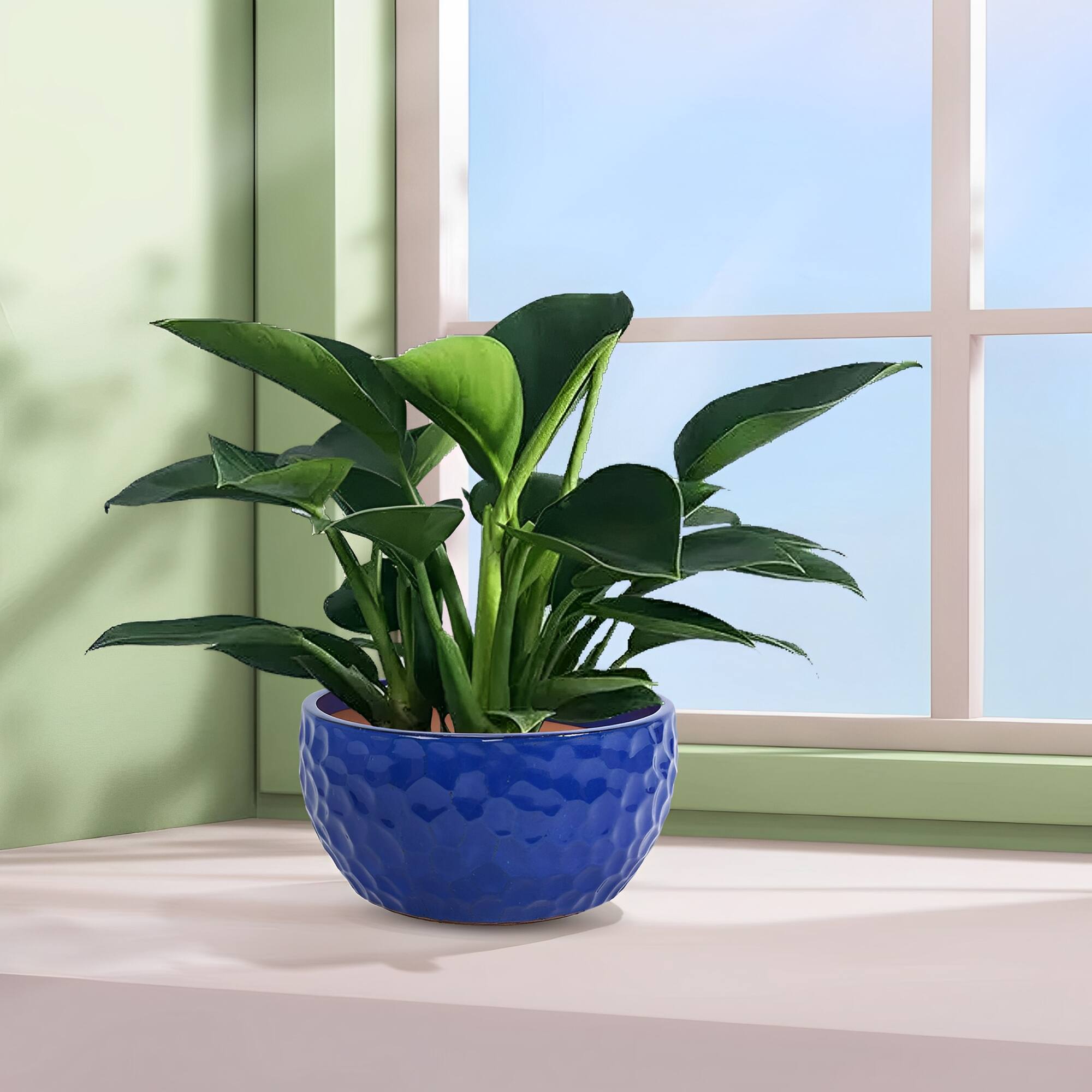 Alt View 7. Loheer - Ceramic Planter Set Loheer Handmade Cobalt Blue Plant Pots, Set of 3 Breathable Clay Planters for Indoor Outdoor Use.