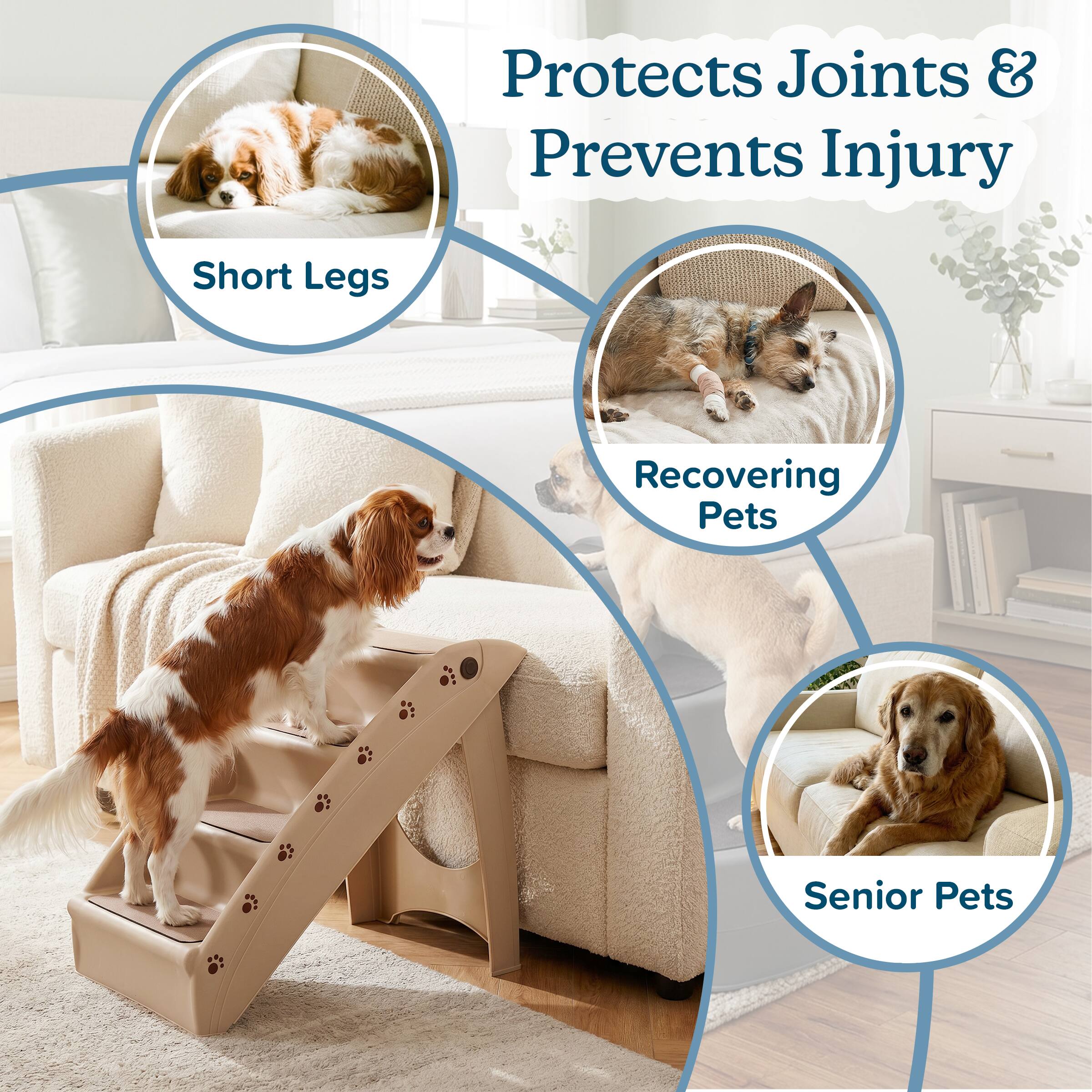 Protects Joints & Prevents Injury  
- Short Legs  
- Recovering Pets  
- Senior Pets