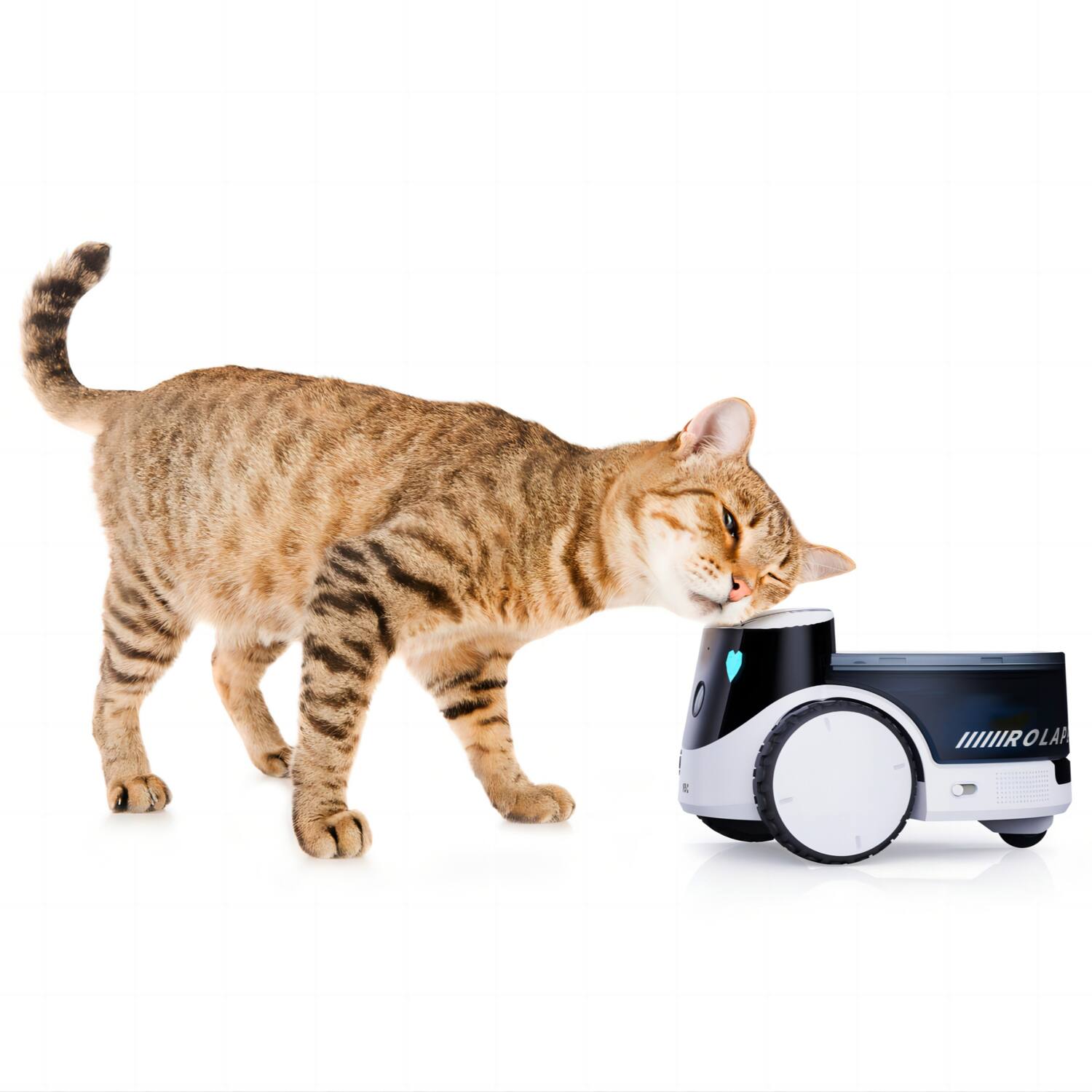 The text on the image reads: "MIRO LAPS"