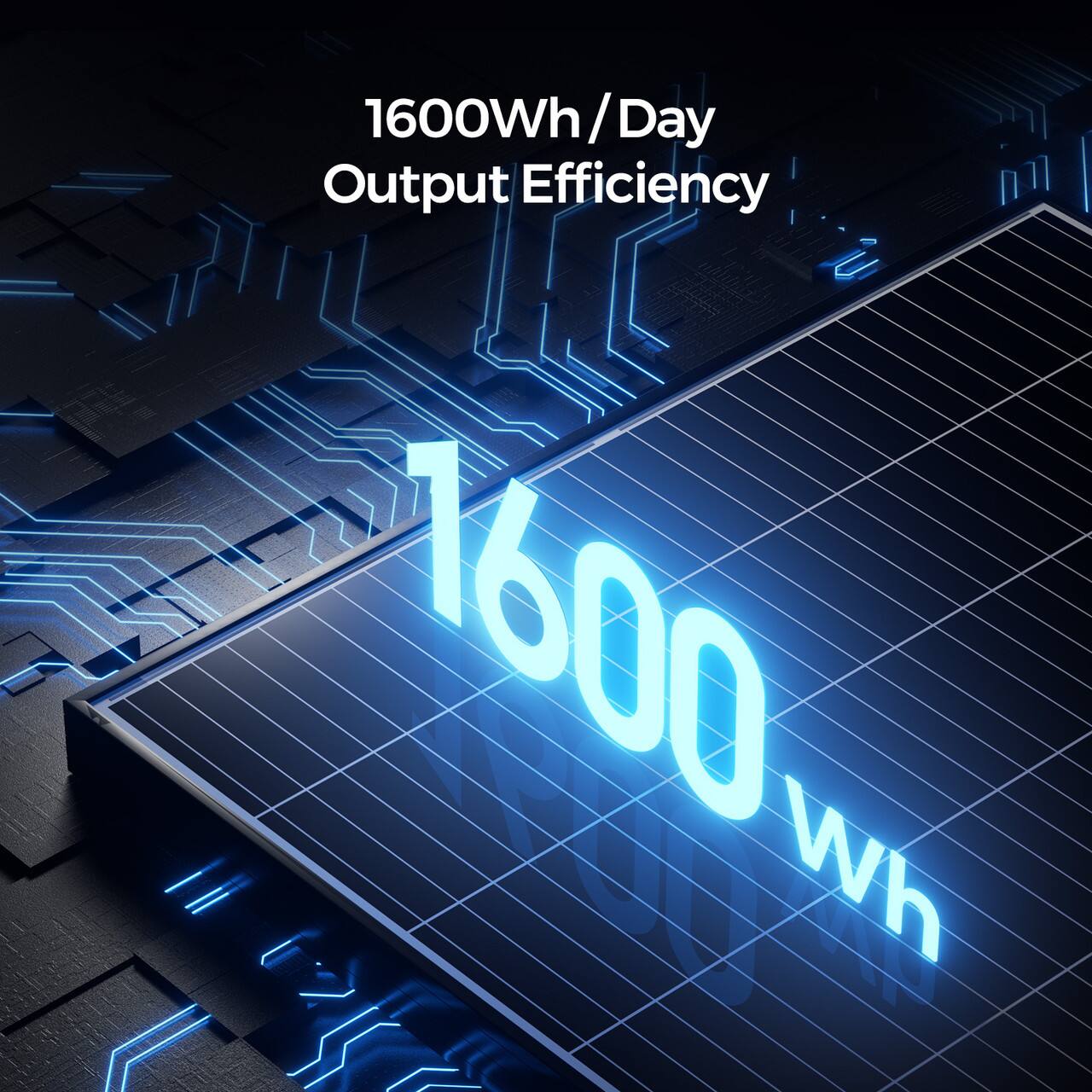 1600 Wh/Day Output Efficiency 1600 Wh/Day