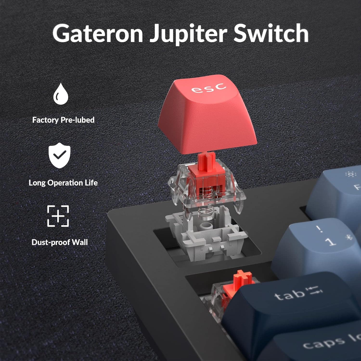Gateron Jupiter Switch: esc Factory Pre-lubed Long Operation Life Dust-proof Wall! 1 tab caps