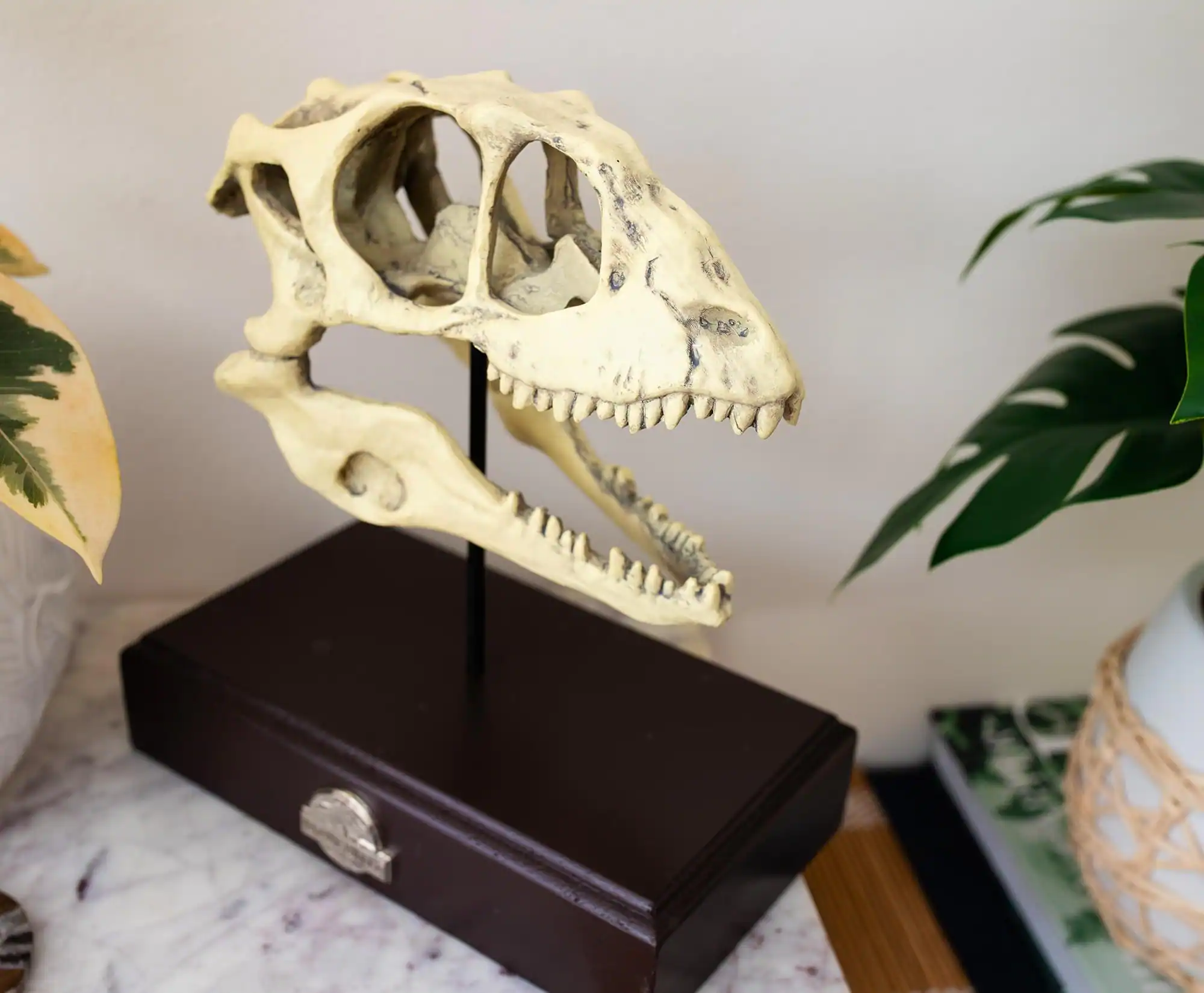 Alt View 3. Surreal Entertainment - Jurassic World Velociraptor Skull Paperweight Replica | 8 Inches Tall - White.