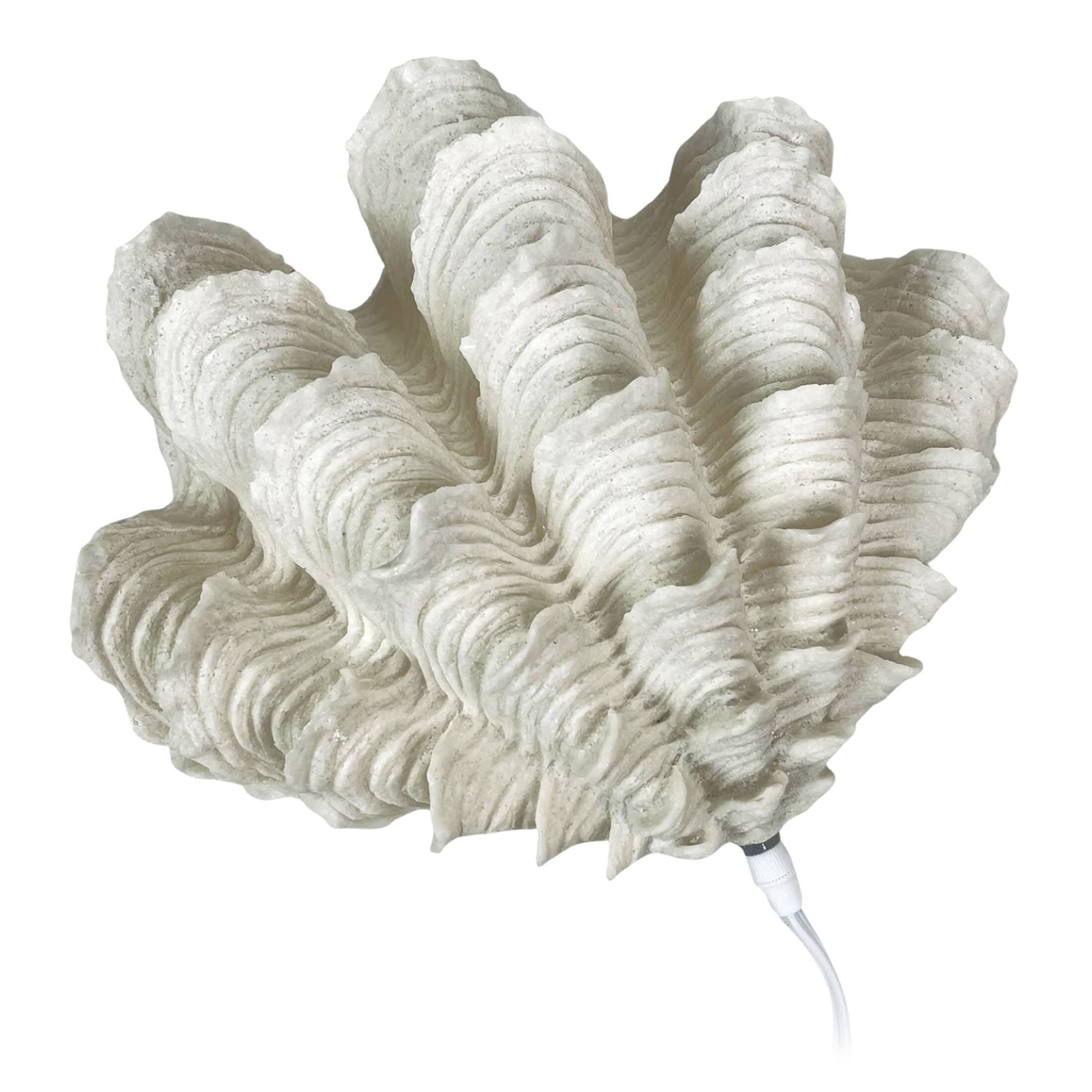 Alt View 2. Contrast Inc. - Squamosa Clam Accent Lamp Resin Shell Table Light 13" White Coastal Décor - White.