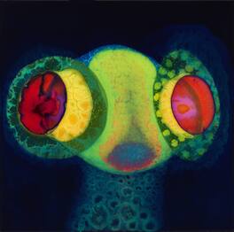 Osees - Sorcs 80 - VINYL LP