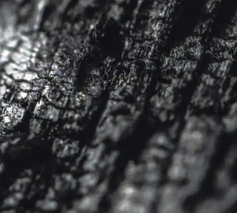 Front. Parallel Worlds - Plector - COMPACT DISCS.