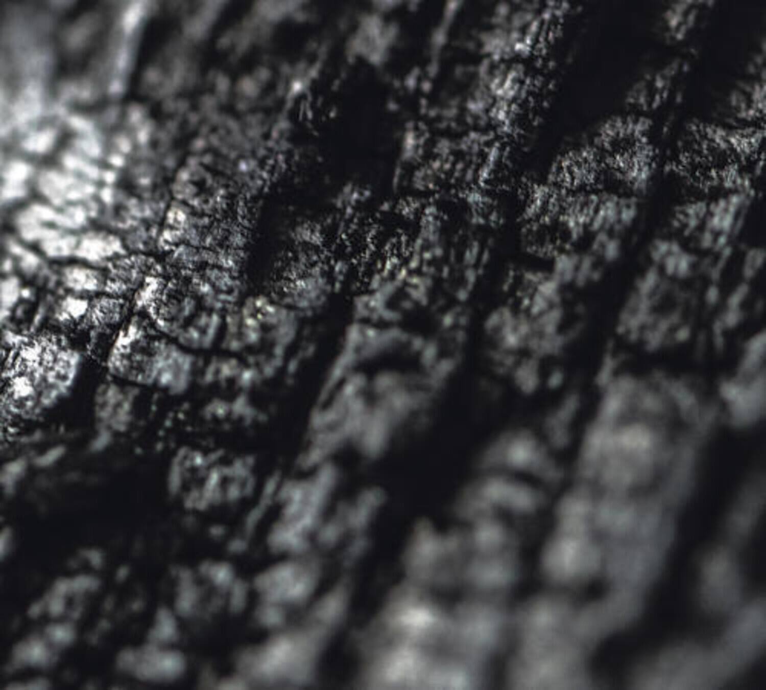 Front. Parallel Worlds - Plector   - COMPACT DISCS.