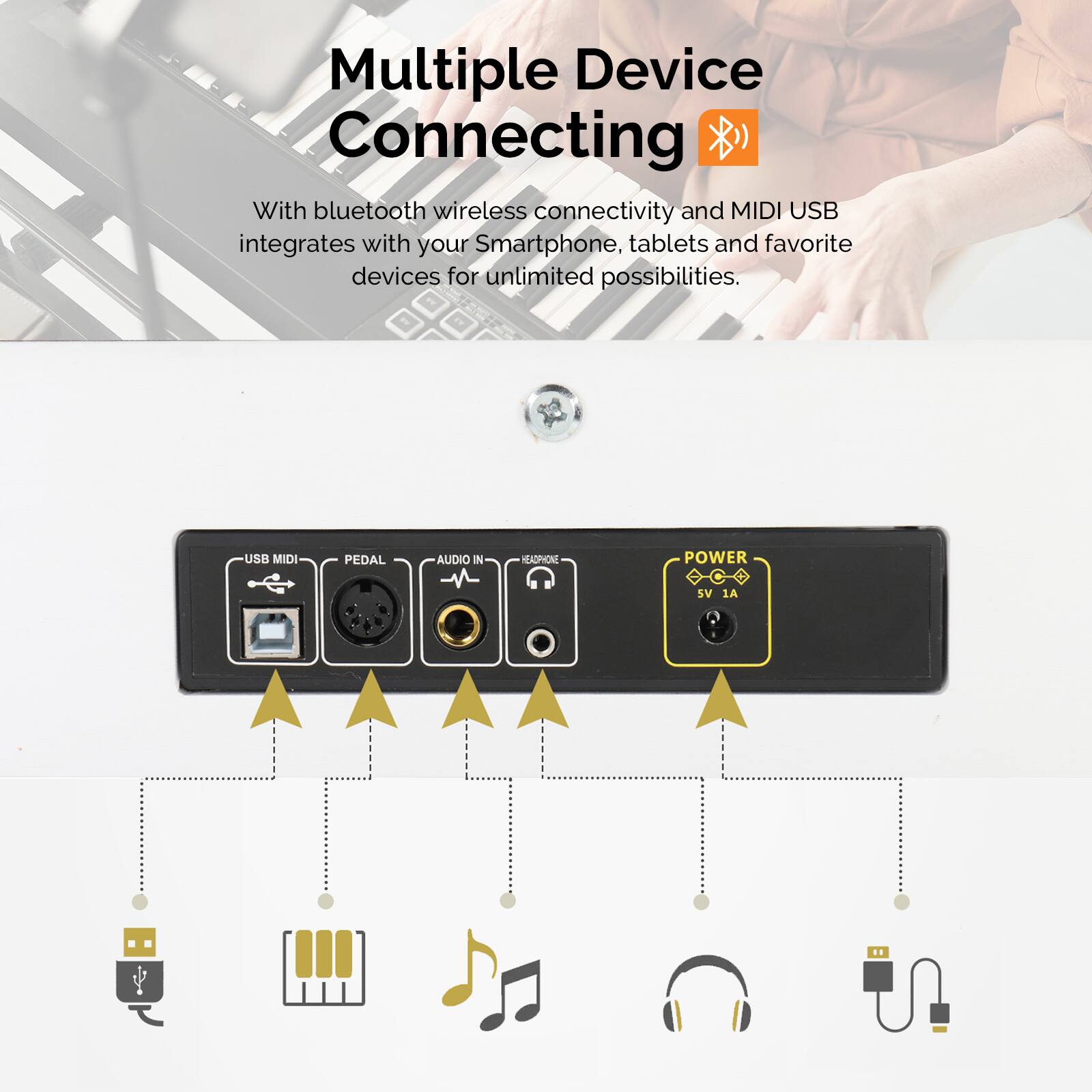 Multiple Device Connecting

With bluetooth wireless connectivity and MIDI USB integrates with your Smartphone, tablets and favorite devices for unlimited possibilities.

USB MIDI PEDAL AUDIO IN  POWER SV 1A