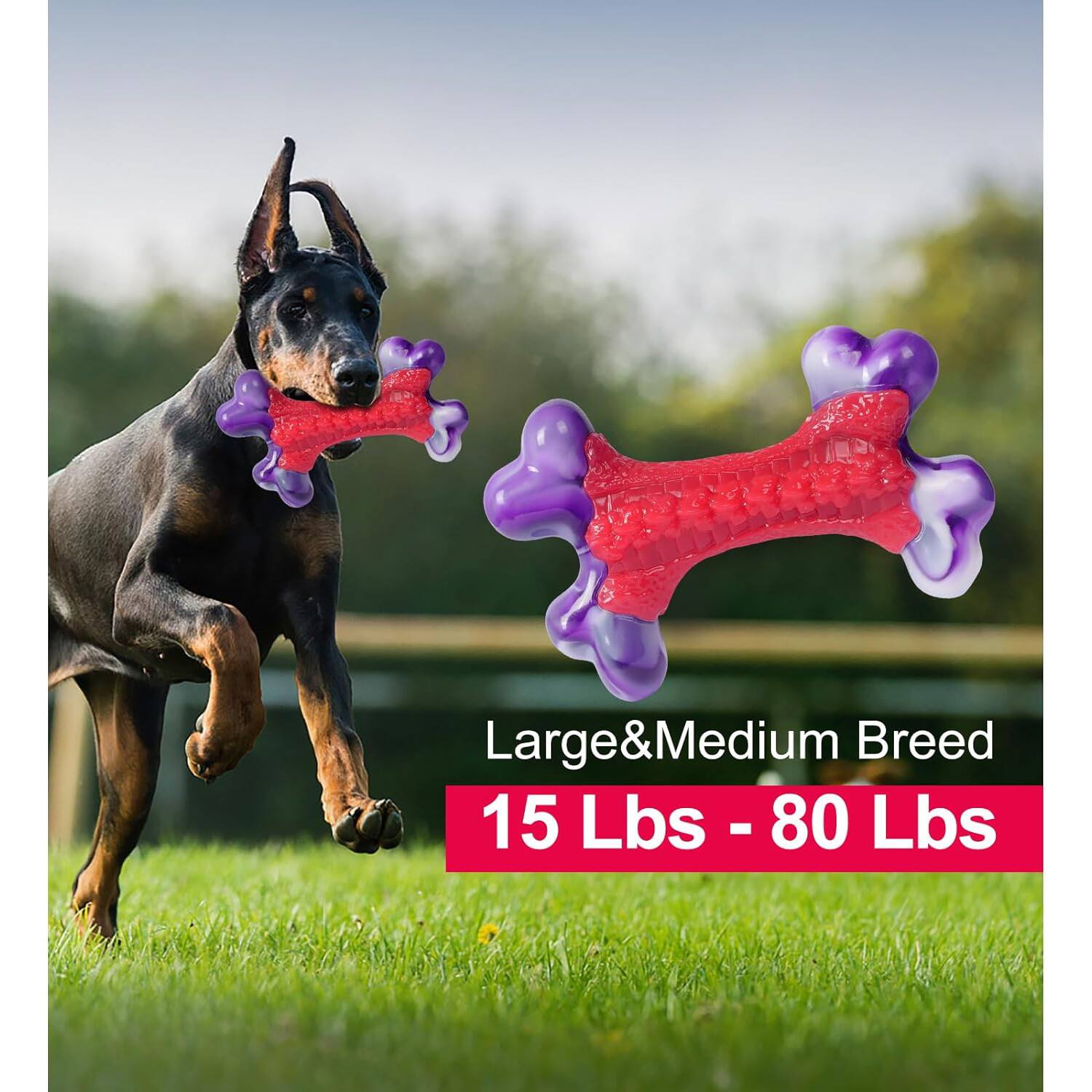 Frienhund Nylon Bone Shaped Chicken Flavored Dog Chew Toy, 1 count Red ...