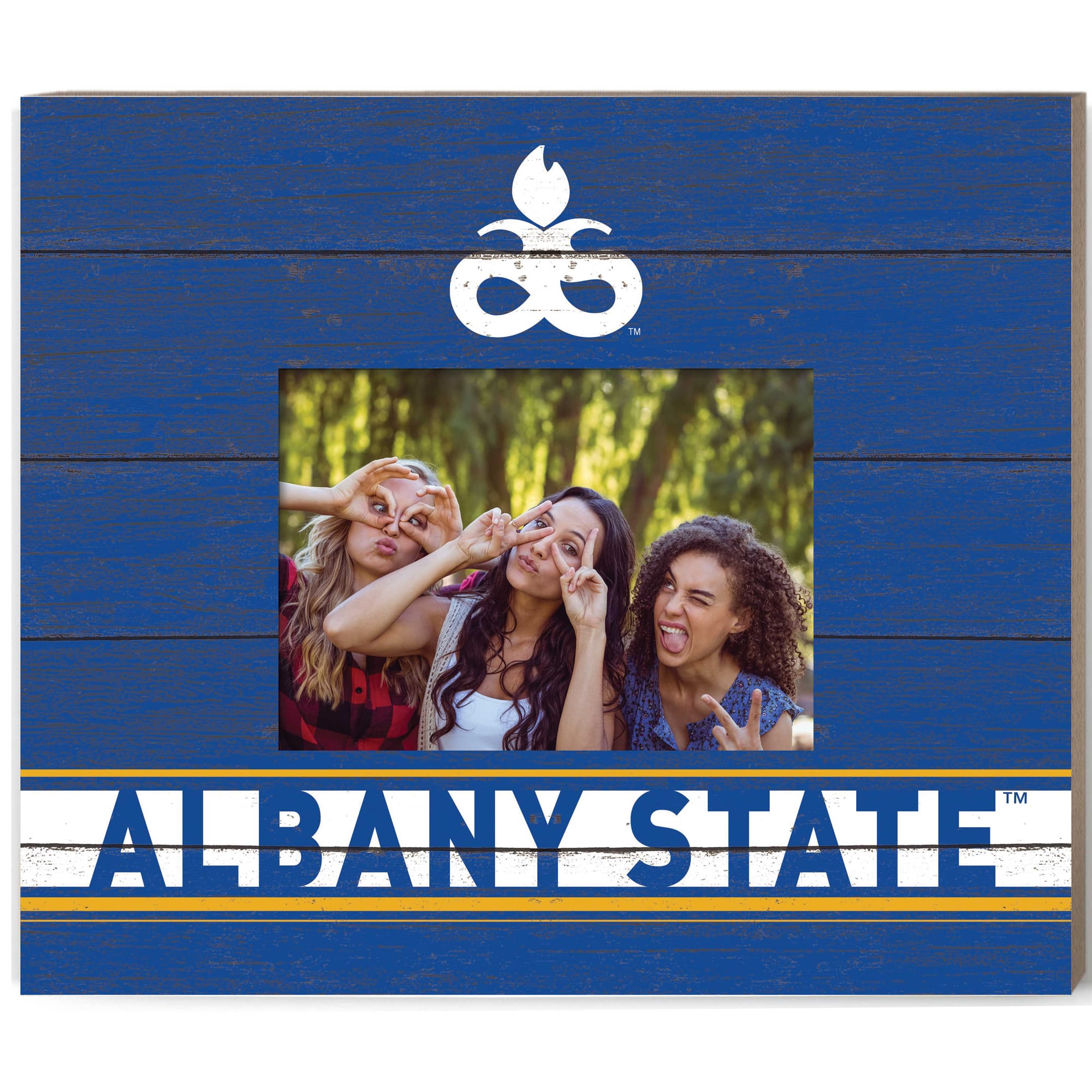 Jardine - Albany State Golden Rams 11'' x 13'' Team Spirit Picture Frame - Blue price history on PriceWatchPro