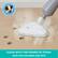 PET APPROVED
CLEAN WITH THE POWER OF STEAM
SAFE FOR CHILDREN AND PETS