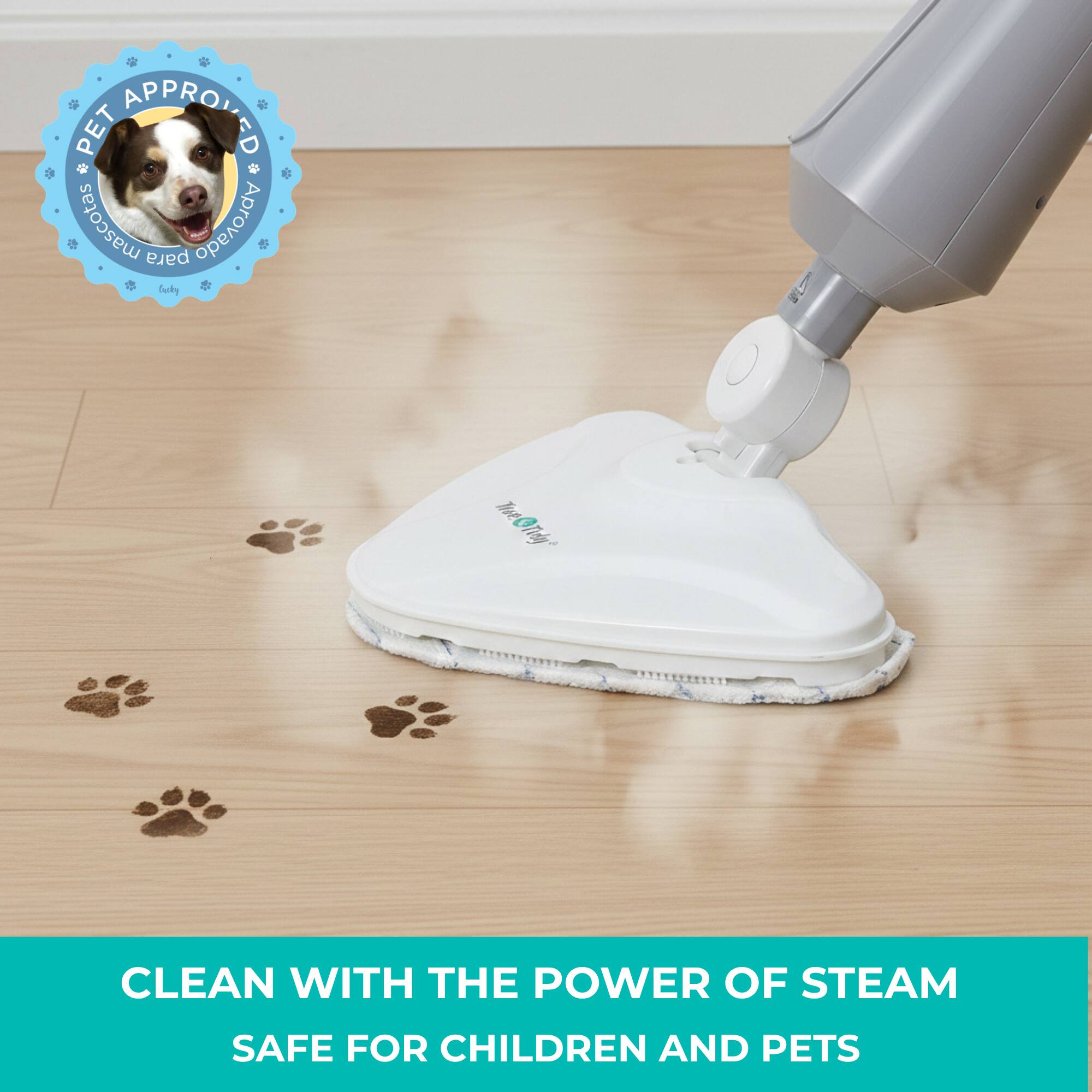 PET APPROVED  
CLEAN WITH THE POWER OF STEAM  
SAFE FOR CHILDREN AND PETS