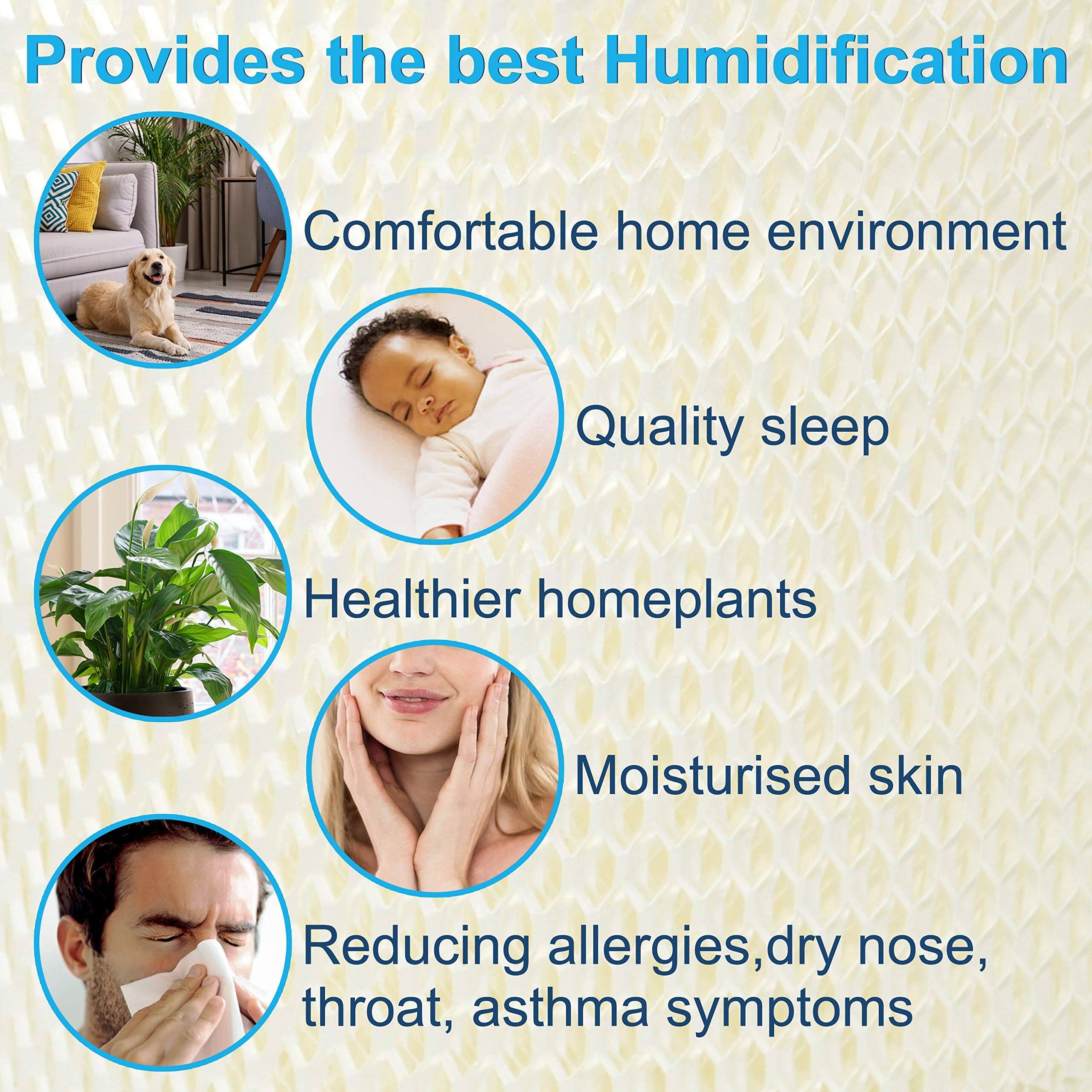 Provides the best Humidification

- Comfortable home environment
- Quality sleep
- Healthier homeplants
- Moisturised skin
- Reducing allergies, dry nose, throat, asthma symptoms