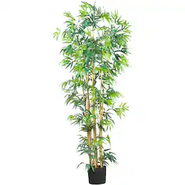 BreeBe - 6' Multi Bambusa Bamboo Tree w/1700 Lvs - Green
