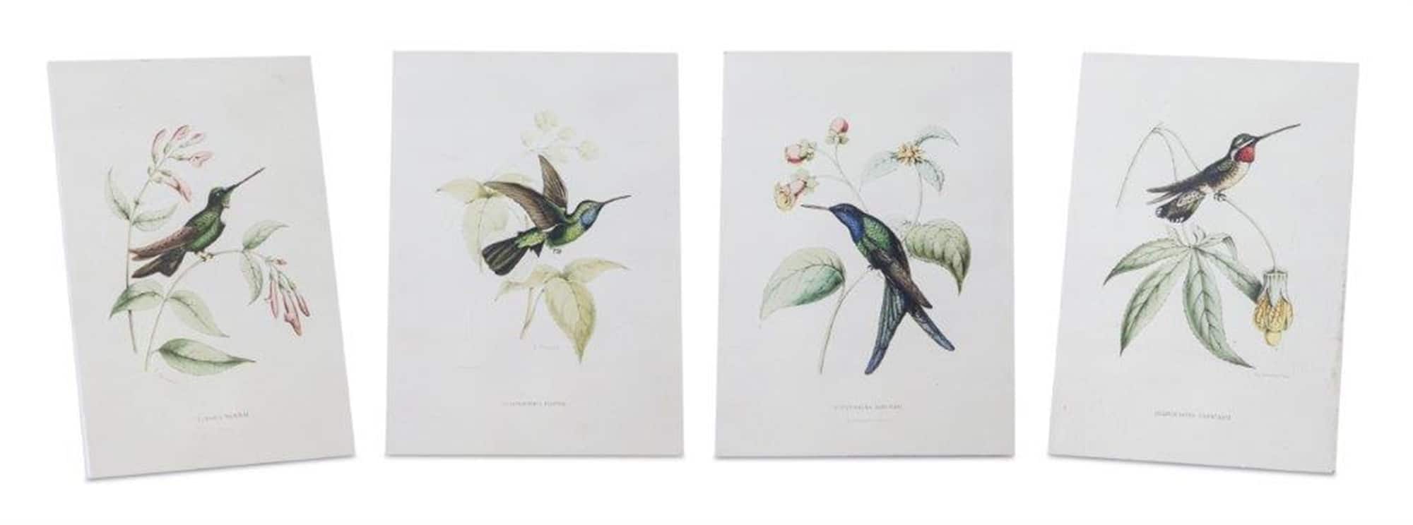 BreeBe - Tabletop Encyclopedia Hummingbird Print (Set of 4) - White, Green, Brown