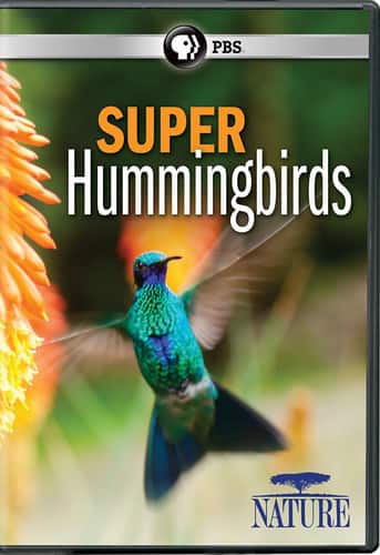 Nature: Super Hummingbirds  - DVD