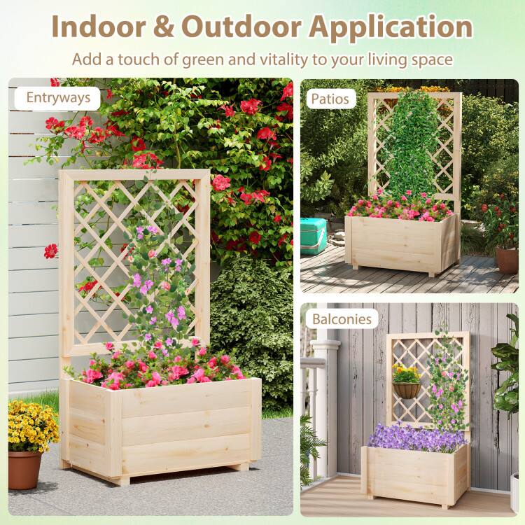 Indoor & Outdoor Application  
Add a touch of green and vitality to your living space  

Entryways  
Patios  
Balconies