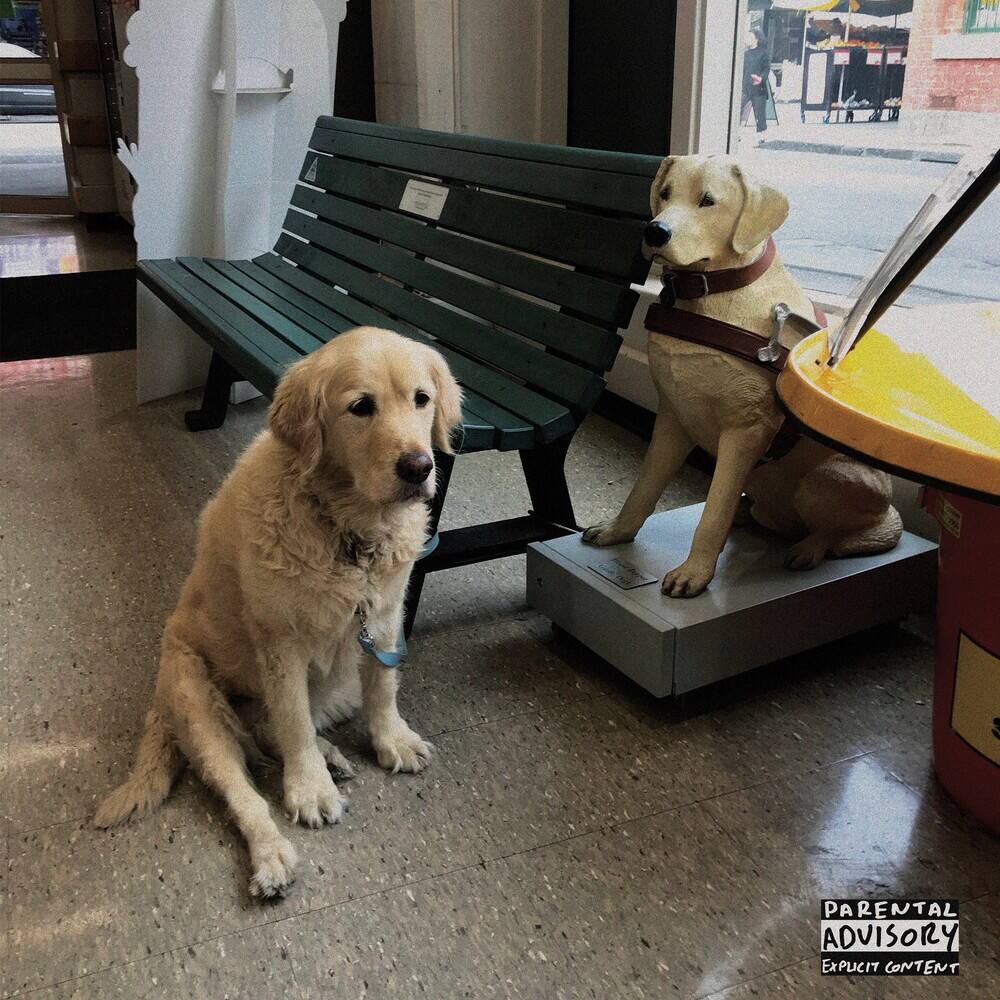 Front. The Option [LP].