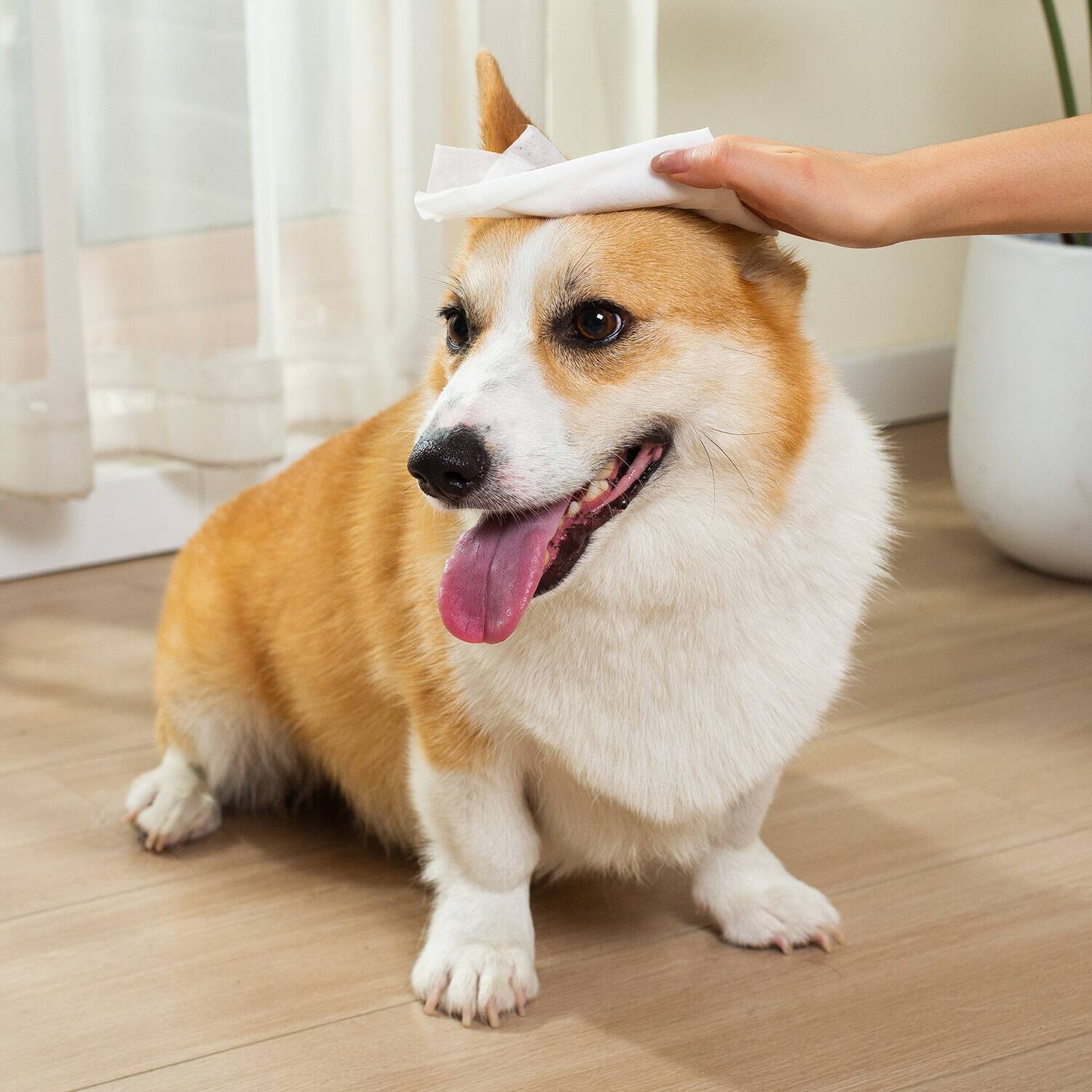 Alt View 3. PET MARVEL - PET MARVEL Silver Ion Antibacterial Dog Cat Wipes Unscented, 4 Bags, 400 Count, Hypoallergenic for Paws Butt Face & Ear.