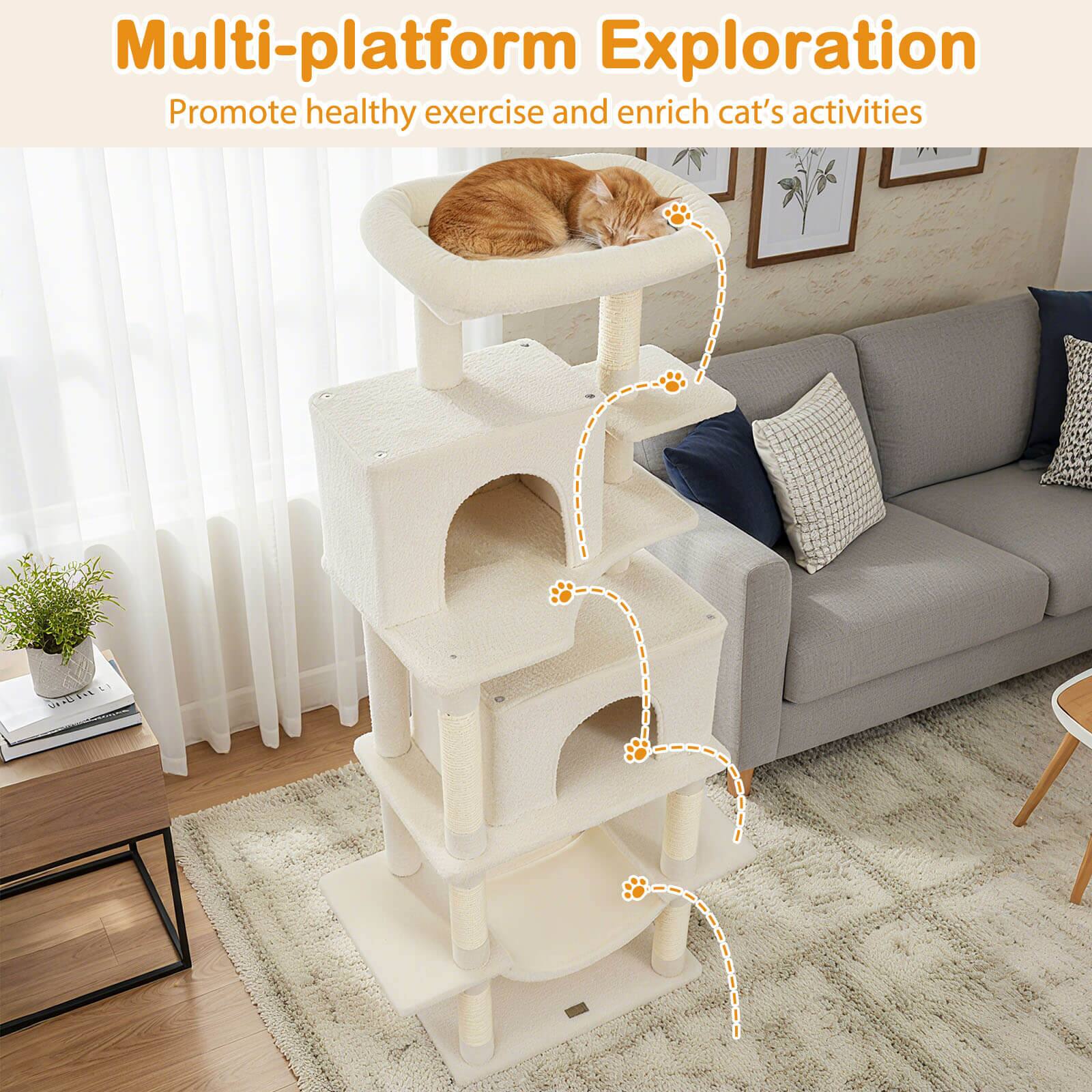 Multi-platform Exploration  
Promote healthy exercise and enrich cat's activities