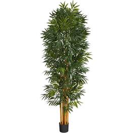 BreeBe - 6.5' Phoenix Palm Artificial tree with Natural Trunk - Green