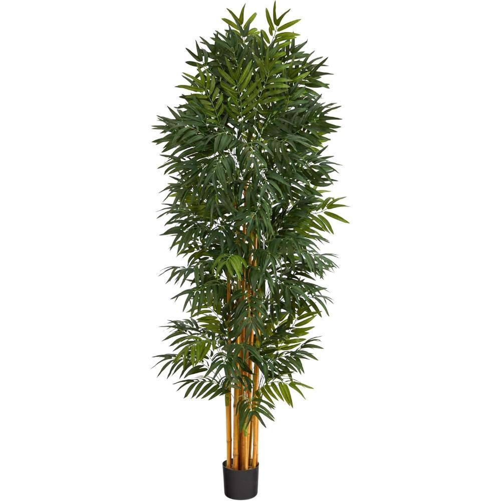 Front. BreeBe - 6.5' Phoenix Palm Artificial tree with Natural Trunk - Green.