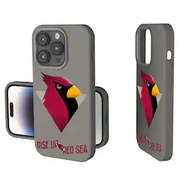 Keyscaper - NFL - Arizona Cardinals 2024 Illustrated Limited Edition Soft Touch iPhone Case - 14 - Gray