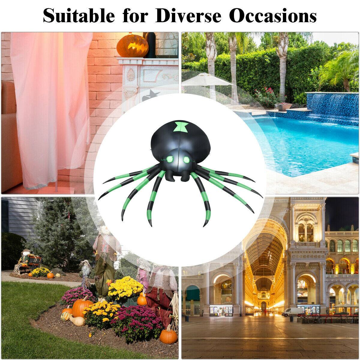 Suitable for Diverse Occasions