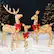 Front. Best Choice Products - Best Choice Products 3-Piece 2D Deer Family Set, Lighted Christmas Outdoor Decoration w/ 175 Lights, Stakes - Gold - Gold.