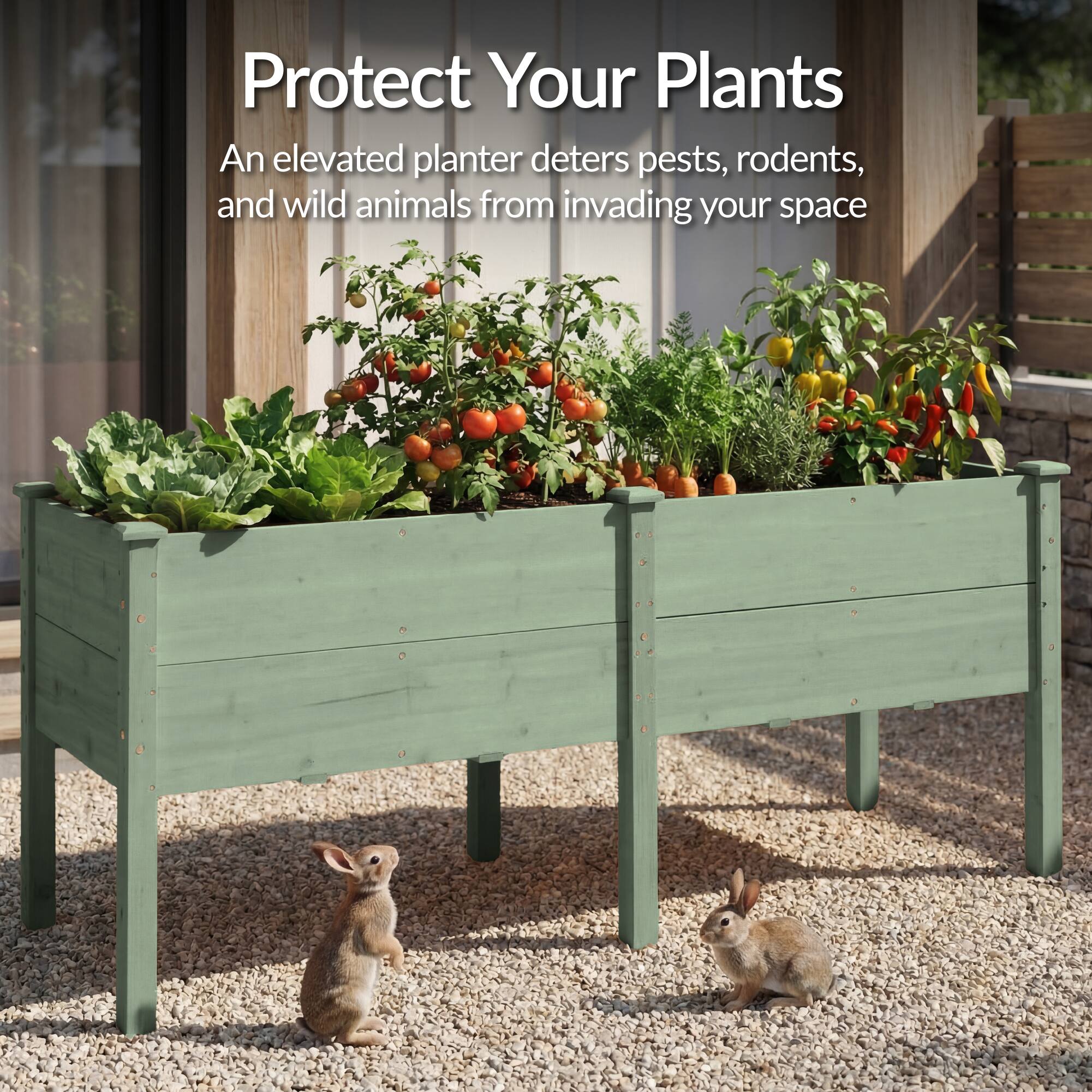 Protect Your Plants

An elevated planter deters pests, rodents, and wild animals from invading your space