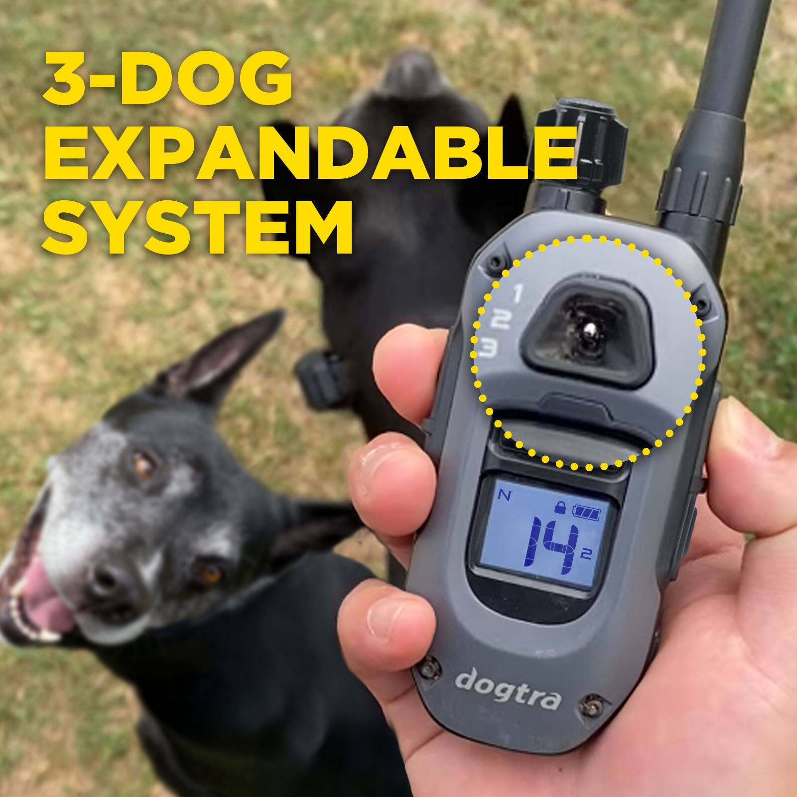 3-DOG EXPANDABLE SYSTEM

1 2 3

N C 14 2

dogtra