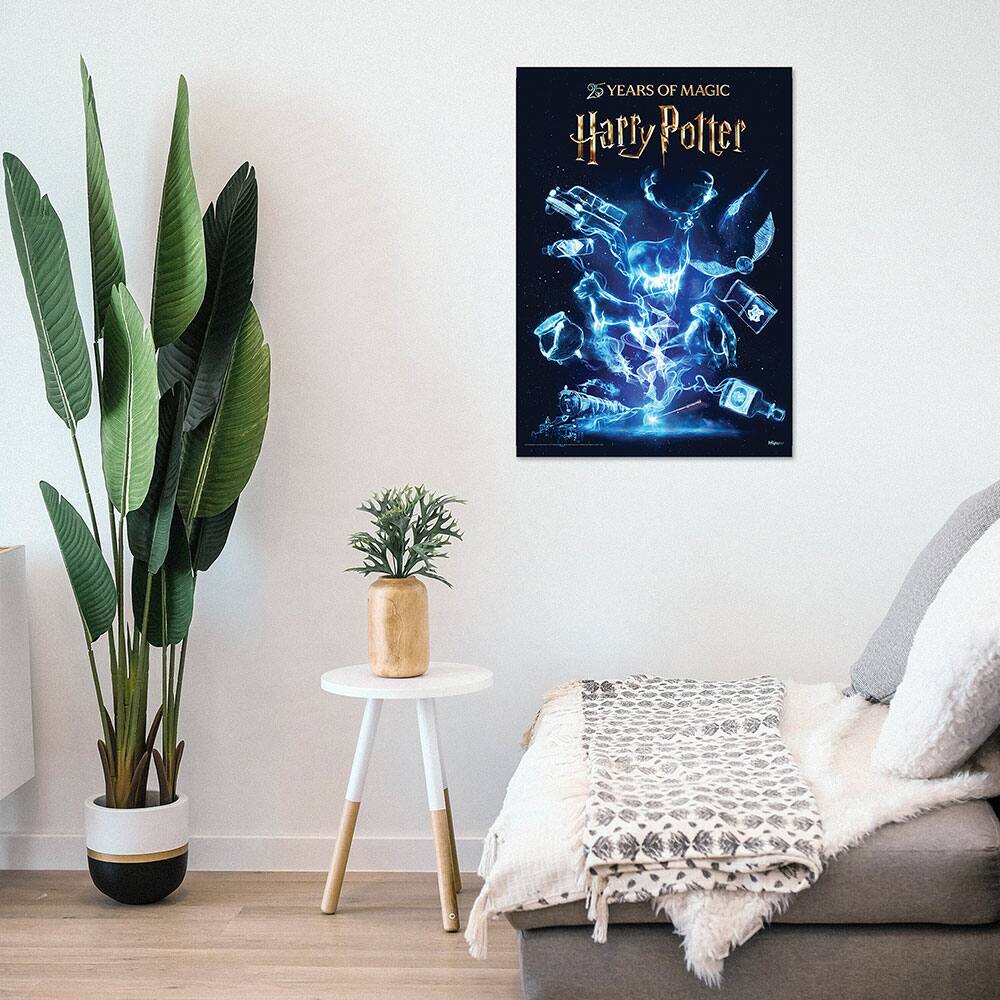 25 YEARS OF MAGIC  
Harry Potter