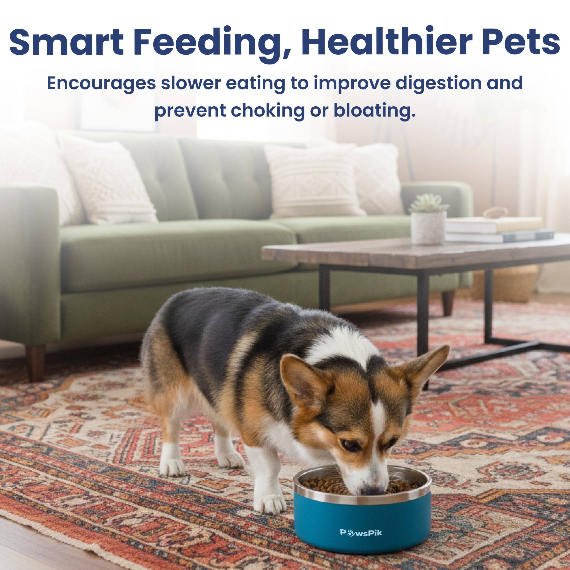 Smart Feeding, Healthier Pets  
Encourages slower eating to improve digestion and prevent choking or bloating.
